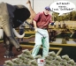 99529_Golf.sized.jpg