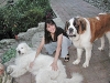 Puff_Steph_and_Chester.jpg