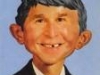 alfred_e_bush.thumb.jpg
