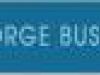 funnybush_20070124.jpg
