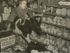 monkey_in_a_china_shop2.jpg