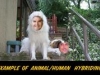 JimPuff_and_ChrisChester_001.sized.jpg