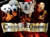 PiratesPuppies.sized.jpg