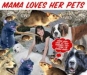 mamaspets.sized.jpg