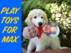 playtoysForMax.jpg