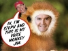voicemonkey.sized.jpg