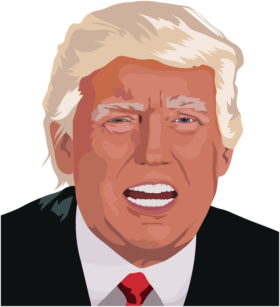 donald-2075124_1280