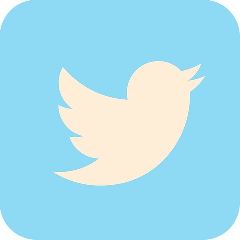 twitter-2430933__480