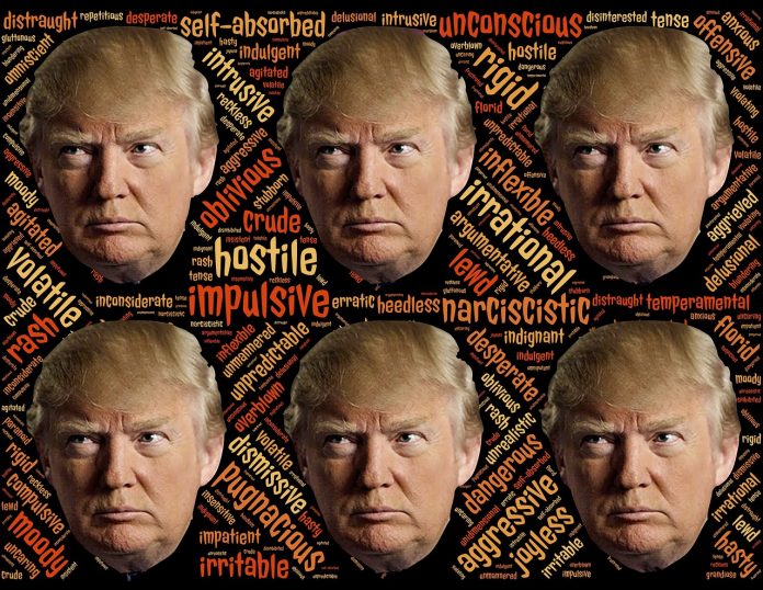 trump-1779709_1280