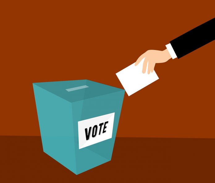 democrats-3594094_1280 vote ballot election