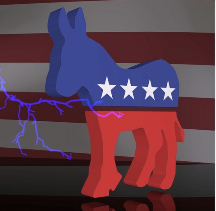 Screen Shot 2020-06-25 at 2.45.35 AM democrat democratic donkey DNC
