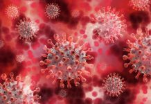 covid coronavirus