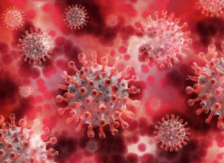 covid coronavirus