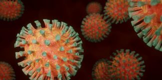 covid coronavirus