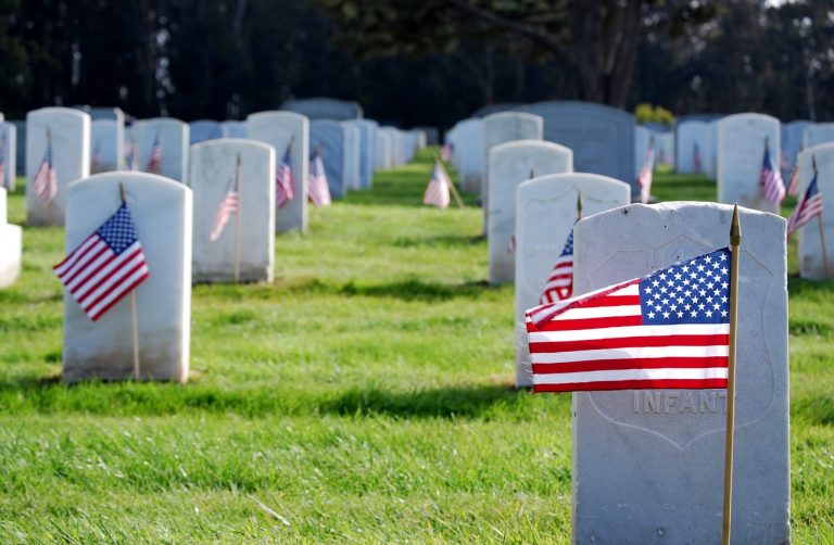 John McCain’s son endorses Harris and hits Trump over Arlington cemetery incident