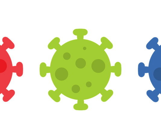 coronavirus covid