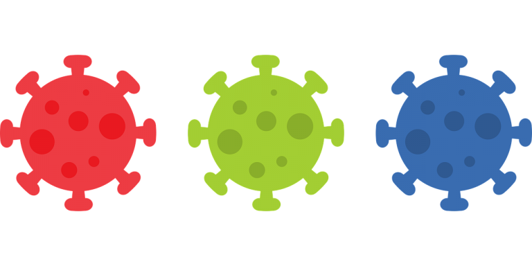 coronavirus covid