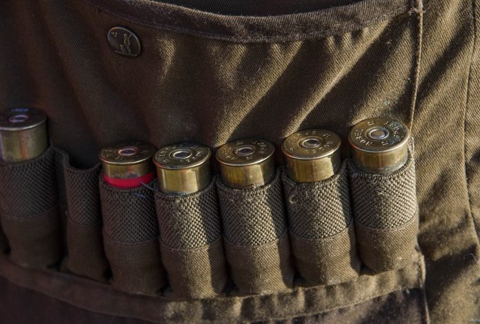 gun guns ammo weapon bullets