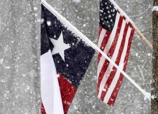 Texas Snow Flag