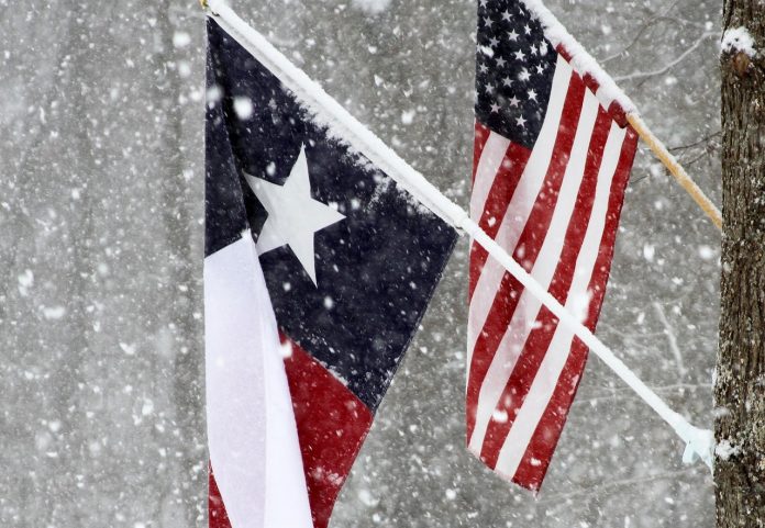 Texas Snow Flag