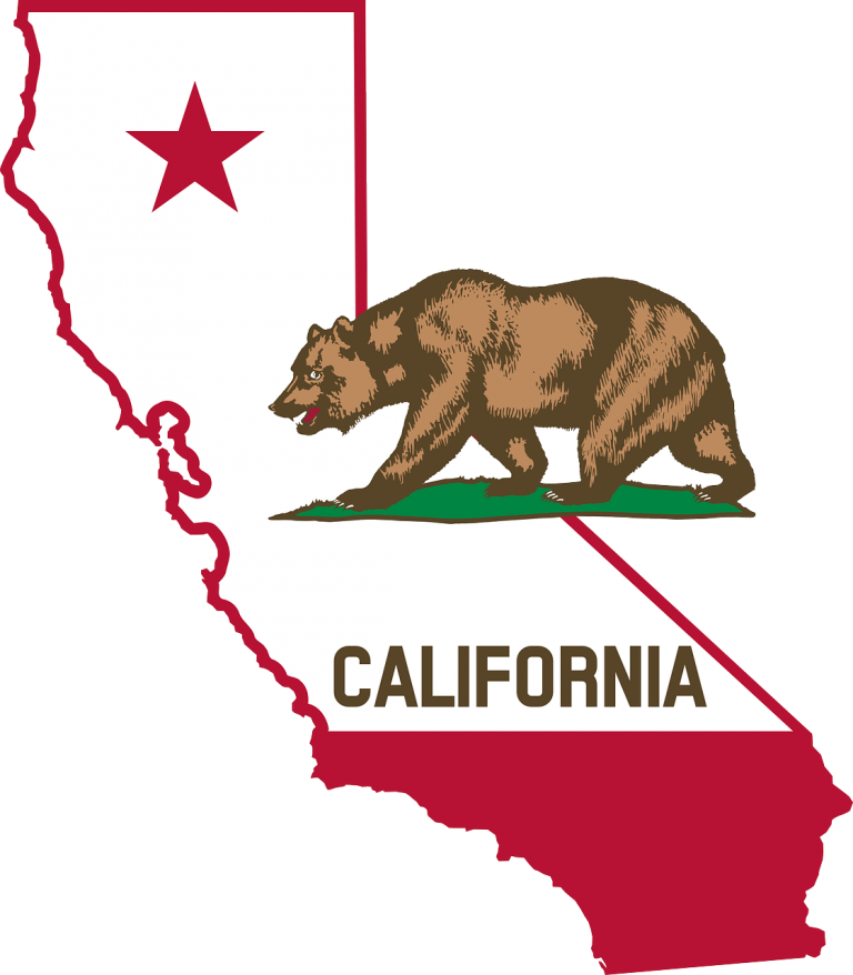 California Map Flag Bear