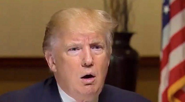 Trump’s Inner Circle is Freaking Out Over Their ‘Comically Inept and Inexperienced’ Legal Team