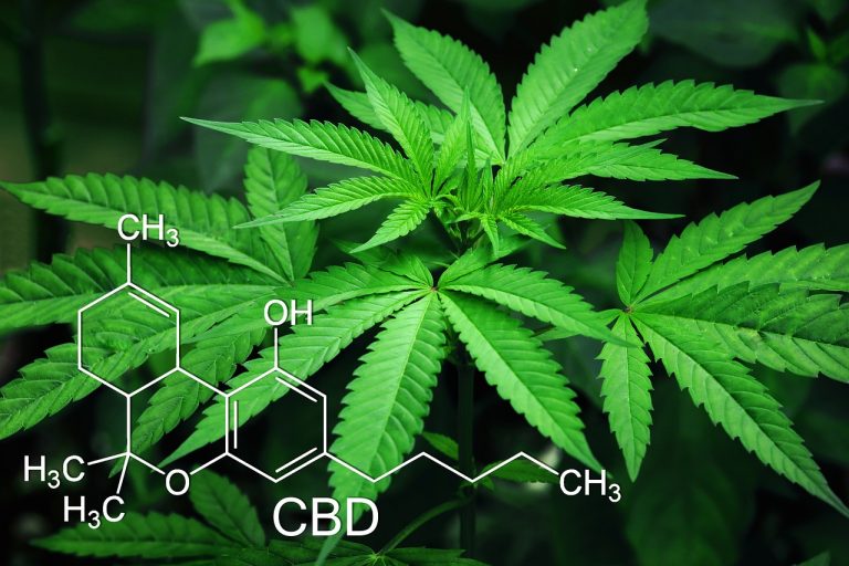 Biden administration plans to reclassify marijuana, easing restrictions nationwide Biden administration plans to reclassify marijuana, easing restrictions nationwide