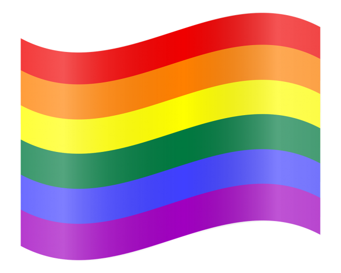 LGBT Gay Flag Rainbow