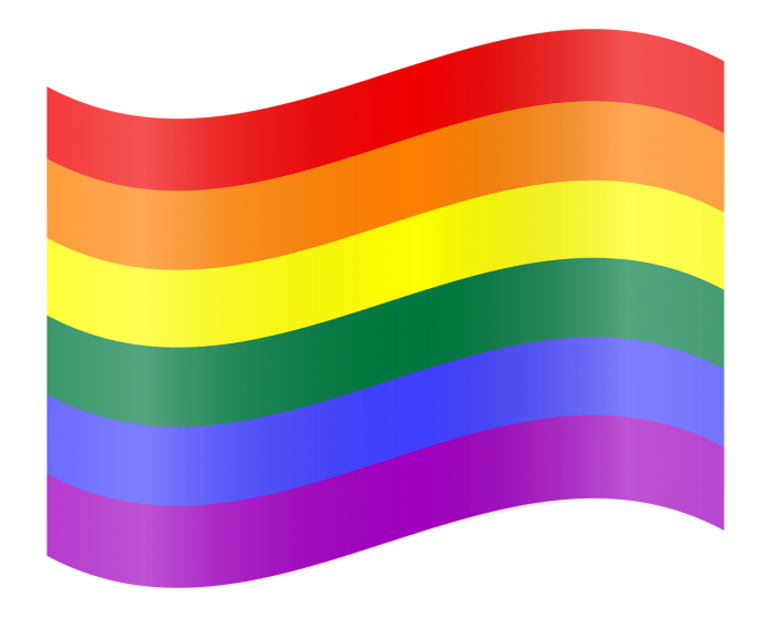 LGBT Gay Pride Flag Rainbow