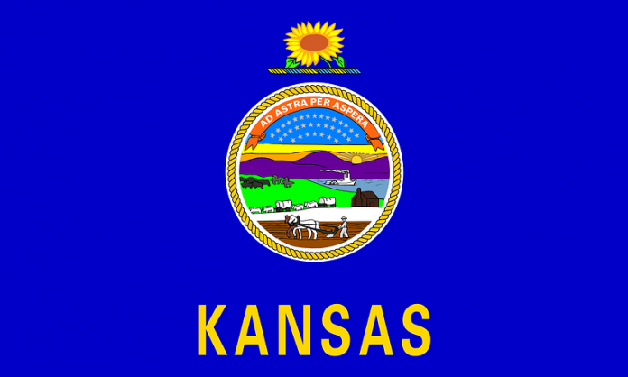 Kansas Flag