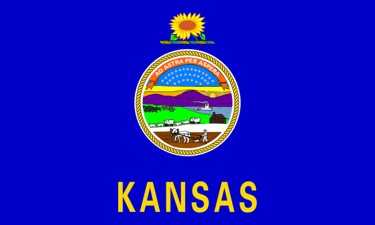 Kansans overwhelmingly vote to uphold abortion rights in their state Kansans overwhelmingly vote to uphold abortion rights in their state