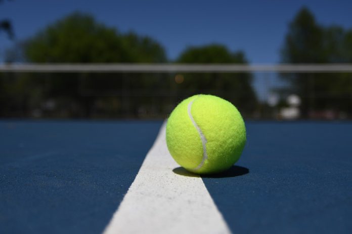 Tennis Ball Tennis Ball