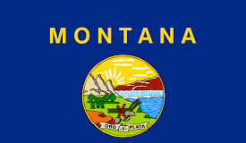 Montana State Flag