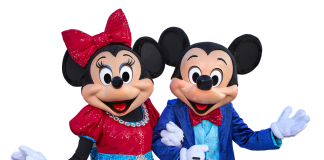 Disney Mickey Mouse Minnie Mouse