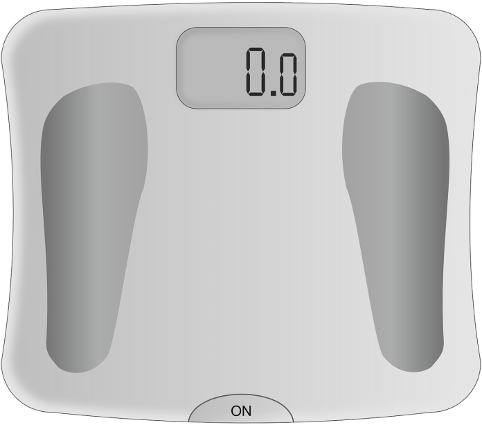 Body Weight Scale