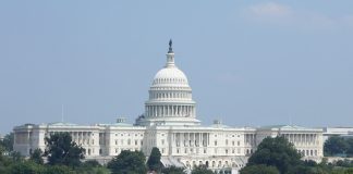 Capitol Washington DC