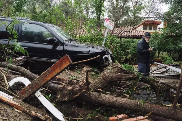 Storm Damage Aftermath Trees Down