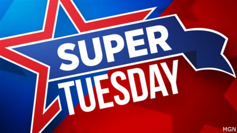 Super Tuesday Voting Election Vote